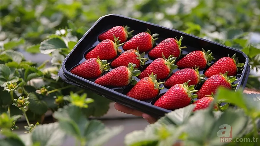 Farkında değiliz ama kullanıyoruz! İşte hiç bilinmeyen duyularımız 3