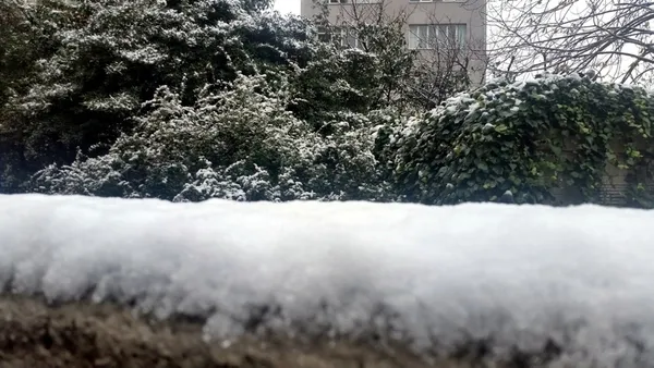 İstanbul’da kar yağışı başladı! İstanbul için kar yağışı açıklaması! Hava sıcaklığı -2 derece olacak!