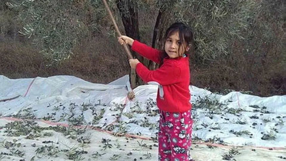 Böyle acı görülmedi! Hem oğlunu hem kızını hem de eşini kaybetti