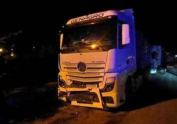 Park halindeyken freni boşaldı dehşet saçtı