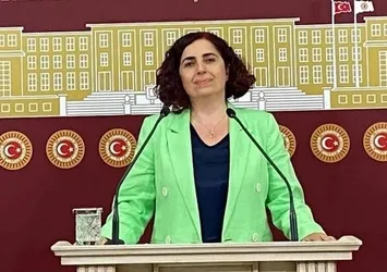DEM Parti'li Sevilay Çelenk'ten skandal! TBMM'de LGBT sapkınlığını savundu | AK Parti'den tepki: ''İzlemeyeceğiz izlettirmeyeceğiz'"