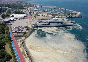 Müsilajla mücadelede önemli gelişme! Bakanlık devreye girecek