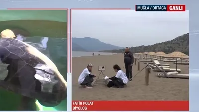 İztuzu Plajı’nda caretta caretta hazırlığı