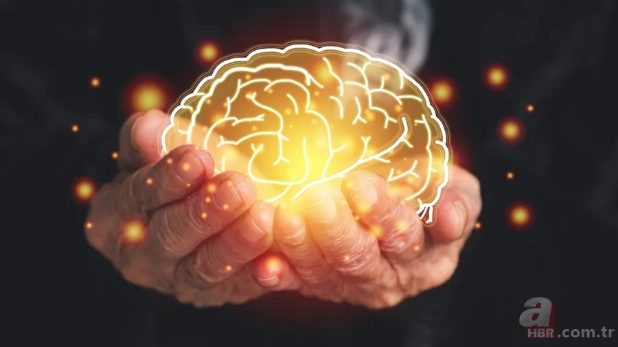 Sürekli aynı sorular, unutkanlık ve ruh hali değişimi… Uzmanlar uyarıyor: Bu belirtiler yaşlılık değil 6