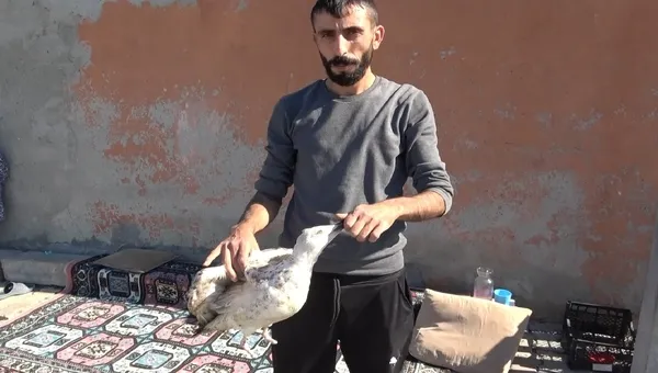 arnavutkoyde-martiya-eziyet-ayaklarini-kesip-dogaya-biraktilar-1632732901838.jpg Arnavutköy’de martıya eziyet! Ayaklarını kesip doğaya bıraktılar - 3