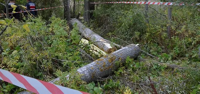 Kütahya’da kestiği ağacın altında kalan kişi, hayatını kaybetti