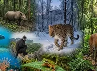 48 binden fazla tür yok olma tehlikesi altında: Dünyada nesli azalan hayvanlar