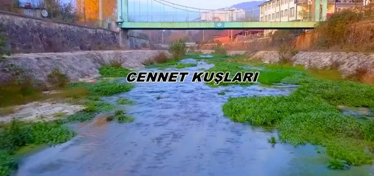 1583245878498.jpg Kemal Sunal'ın amcası olduğunu iddia ederek esnafı dolandırdı - 2