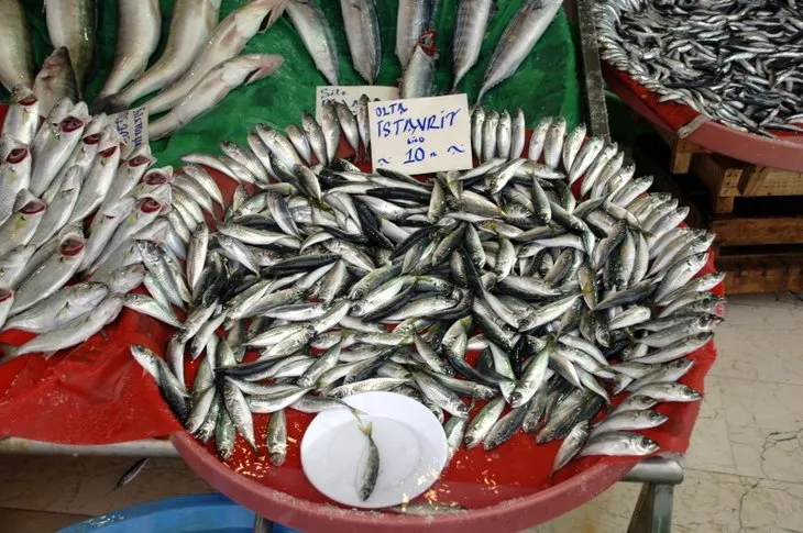 Balık fiyatları ne zaman düşer | Halden tezgaha bölge bölge fiyatlar değişiyor