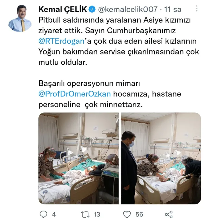 Son dakika: Pitbull vahşetinde yeni deliller ortaya çıktı! Asiye Ateş'ten haber var: İşte son sağlık durumu - 5