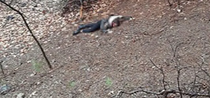 Adana’da kumalığı kabul etmeyen kadını vahşice öldürmüştü! Perde arkası ortaya çıktı