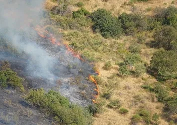 Osmaniye'de çıkan orman yangını söndürüldü
