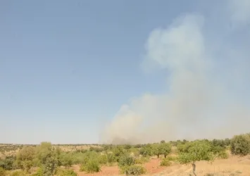 PKK mensuplarınca tuzaklanan el yapımı patlayıcı infilak ettirildi