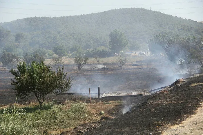 son-dakika-canakkalede-orman-yangini-1658592924422.jpg Son dakika: Çanakkale'de orman yangını! - 3