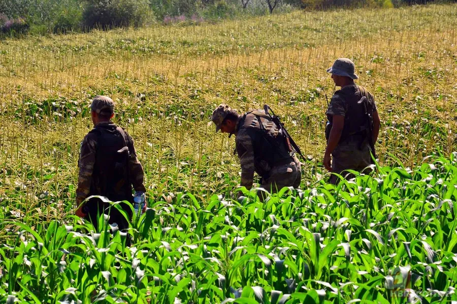 Marmaris'te otel saldırısına katılan askerler özel seçilmiş 15