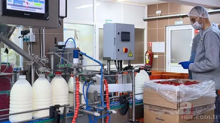 Aracını satıp bu işe girdi hayatı değişti! Memleketinde gelir kapısı oldu! Şimdi paraya para demiyor... 4