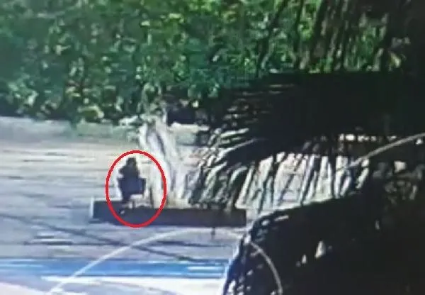 Mersin Özgecan Aslan Meydanı'ndaki ağacın kurutulması skandalında yeni gelişme! Savcılık ifadesi ortaya çıktı - 6