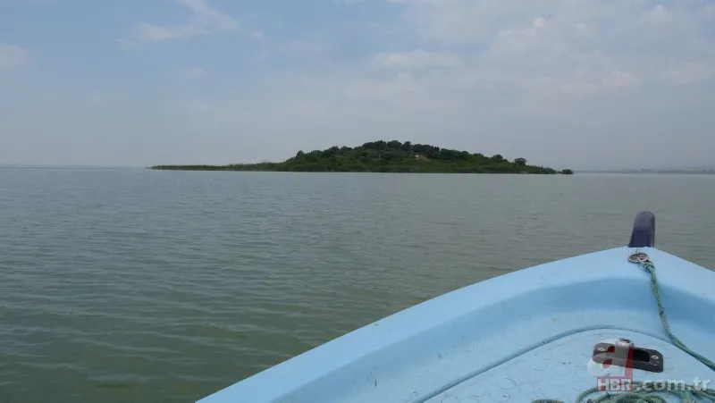 Cristiano Ronaldo’nun koronavirüs önlemi özendirdi! Bursa’daki adaya teklif yağdı 7