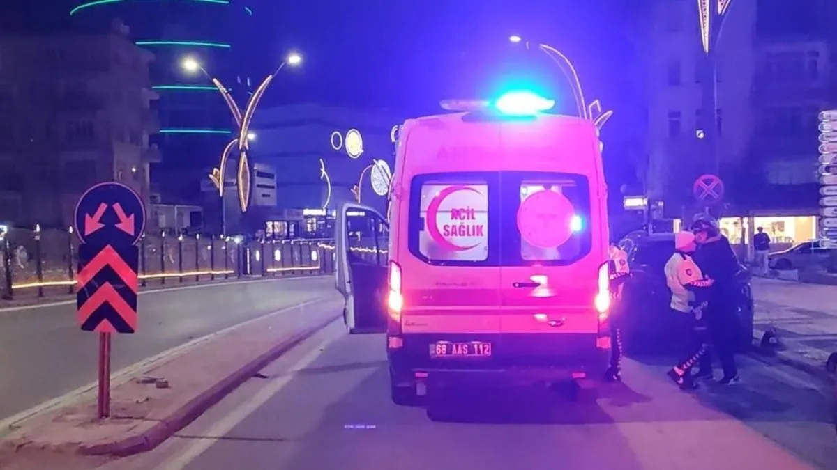 Refüjdeki trafik levhasına çarpan motosikletteki baba ve oğlu yaralandı