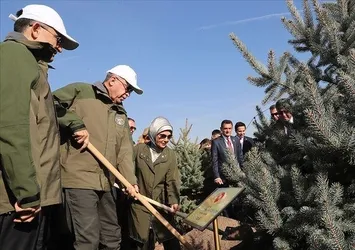 Cumhuriyet tarihi rekoru kırıldı! AK Parti ikiye katladı: 19 yılda 6,5 milyar fidan