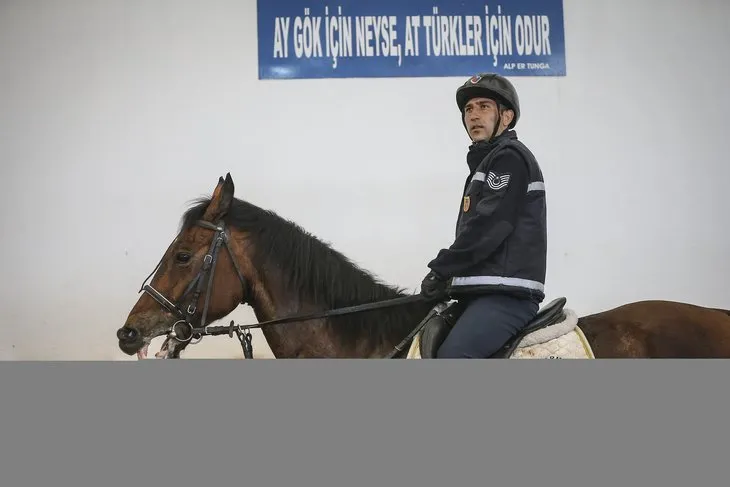 Jandarmanın atları ’özel’ görevlere hazırlanıyor