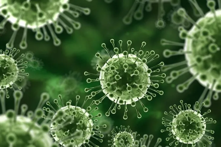 Nipah virüsü nedir, tehlikeli mi, Türkiye’de var mı? Hindistan’da görülen Nipah virüsü belirtileri neler, nasıl bulaşır?
