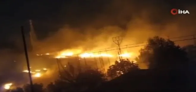 Şanlıurfa'da orman yangını paniği! Alevler söndürüldü