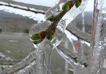Meteoroloji'den 5 il için don uyarısı