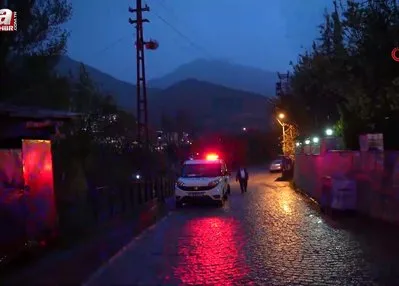 Ayılar bu kez mezarlığa dadandı!
