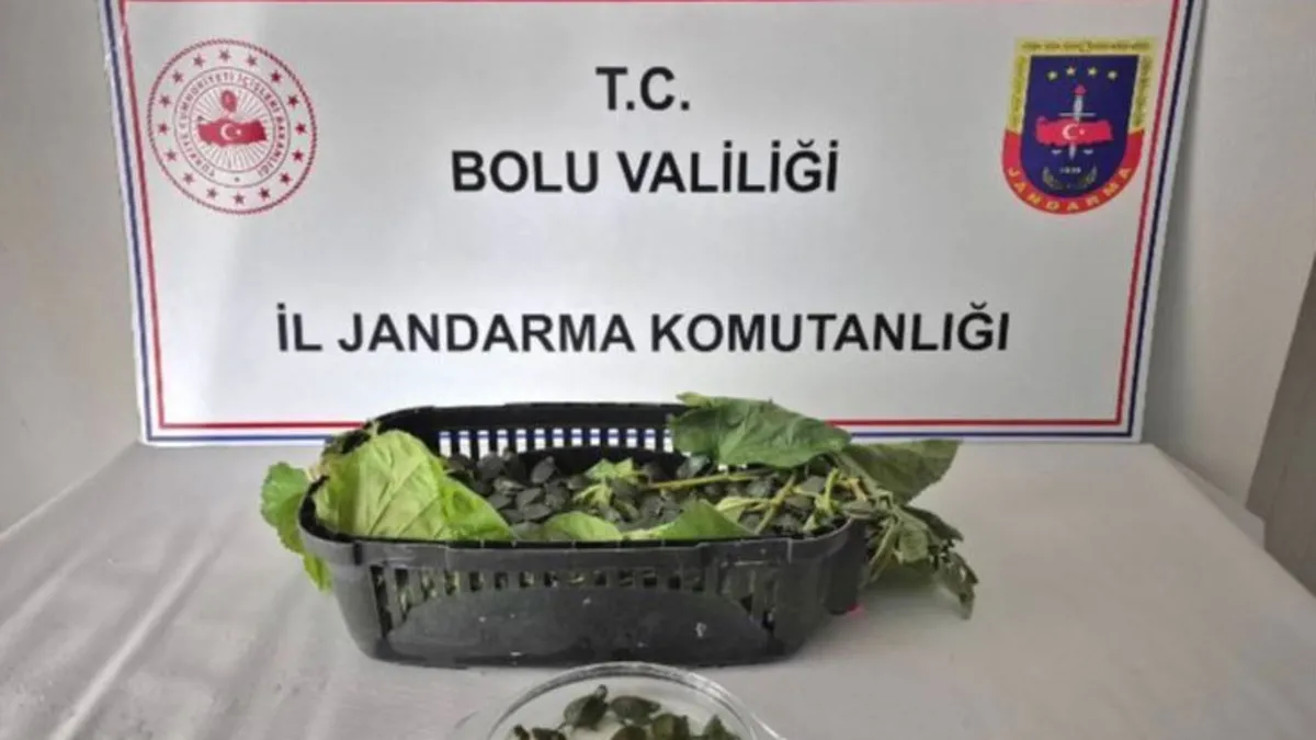 Yolcu otobüsünde kaçak hayvan bulundu! 500 kırmızı…