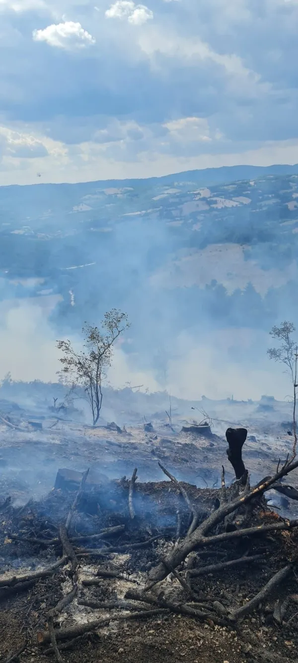 canakkalede-korkutan-yangin-yenicede-cikan-yanginda-havadan-ve-karadan-mudahale-suruyor-1656077971558.jpg Çanakkale’de korkutan yangın! Yenice’de çıkan yangında havadan ve karadan müdahale sürüyor - 2