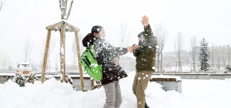 Hakkari ve Bitlis'te yarın okullar tatil mi? 16 Mart'ta Hakkari ve Bitlis'te okullar tatil olacak mı? Valilik açıklamaları...