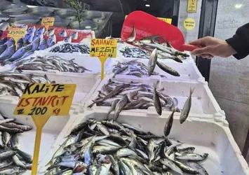 Ramazan'da balık tezgahlarında sakinlik