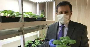 Kovid-19’un yıkıcı etkisini azaltacak!