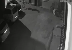 İzmir'de köpeğini tekmeleyip tasmayla sürükleyen cani gözaltına alındı
