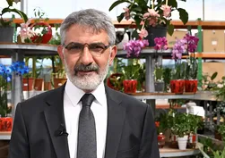Ağaç A.Ş.'de ihale skandalı! Fidanlığa ağaçlar yığılmış, ihaleler sonradan açılmış