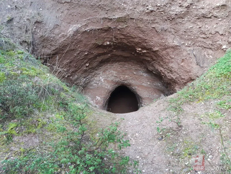 Manisa'da kaçak kazı yapanlar suçüstü yakalandı! 3