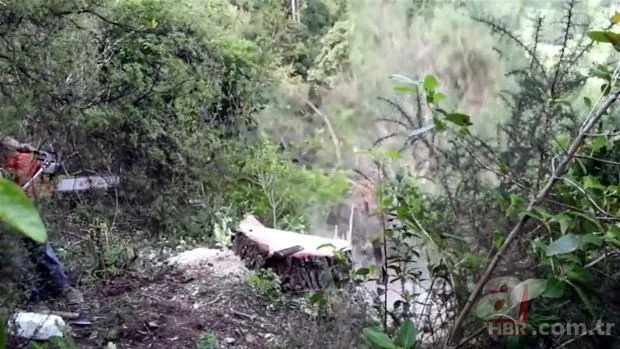 Yol yapımı sırasında bulundu! Milyonlarca yıllık… 19