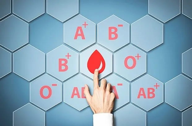 En zeki kan grubu açıklandı! Bu kişilerin IQ’su yüksek çıkıyor! A Rh +, 0 Rh -, AB, B, 0 kan grubu özellikleri...