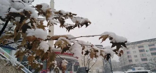 Bingöl'de kar yağışı etkili oldu