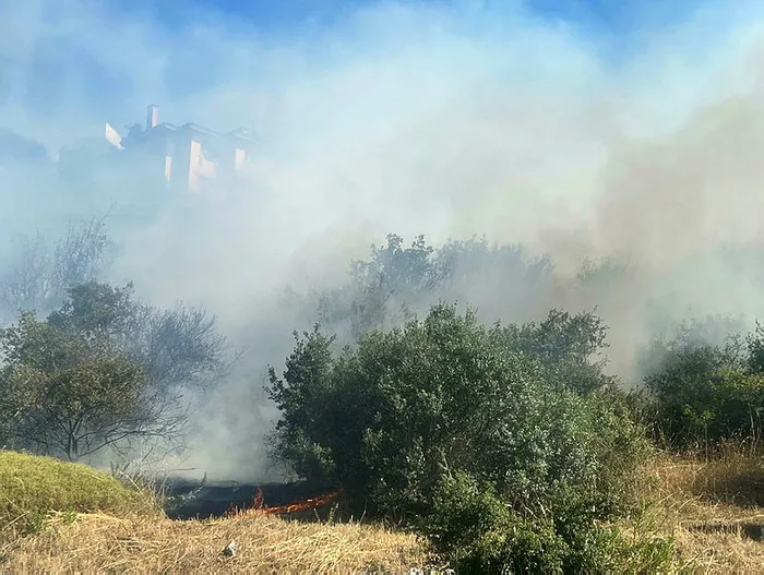 son-dakika-istanbul-kartalda-agaclik-alanda-yangin-1657809913163.jpg Son dakika: İstanbul Kartal'da ağaçlık alanda yangın - 2