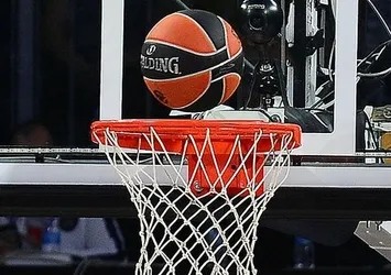 İspanya FIBA'ya destek verdi