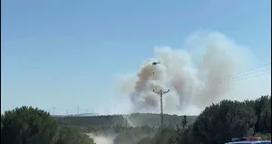 Silivri’de orman yangını
