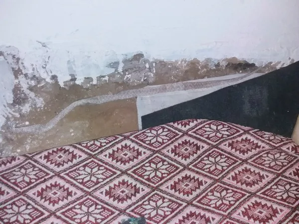 sayilari-her-yil-artiyor-yilanlarin-yuva-yaptigi-evlerde-huzur-yok-1662108761574.jpg Sayıları her yıl artıyor! Yılanların yuva yaptığı evlerde huzur yok - 3