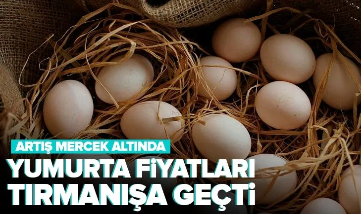 Yumurta fiyatları kanatlandı! Artış mercek altında