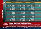 Koronavirüste son durum