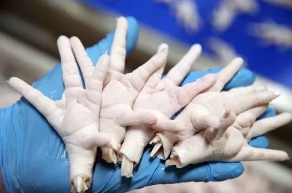 Uşak’tan dünyaya satıyor! Hedefleri 50 milyon