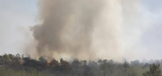Son dakika: Antalya’da orman yangını! Alevler Demre’yi sardı