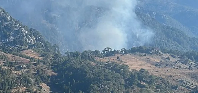 Muğla Köyceğiz'de orman yangını kontrol altında!