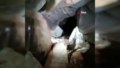 Teröristlerin inlerine şafak operasyonu